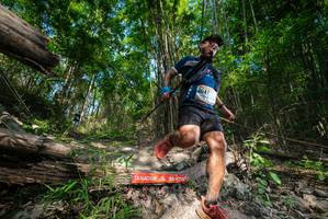 BIB: 
                            <button type="button" onclick="openModal(19388192)" class="btn btn-primary btn-sm float-right btn-popup" data-toggle="modal" data-target=".modal-high-quality">
                        <i class="fas fa-shopping-cart"></i> Add to Cart
                    </button>
                                            <button type="button" onclick="isThisMe(19388192, true)" class="btn btn-success btn-sm float-right btn-popup btn-isme hidden" data-toggle="tooltip" data-placement="bottom" title="นี่คือรูปของคุณใช่ไหม คลิกที่นี่เพื่อเอาเข้าอัลบั้ม">
                        <i class="fas fa-plus"></i> Add to album
                    </button>
                    <button type="button" onclick="isThisMe(19388192, false)" class="btn btn-warning btn-sm float-right btn-popup btn-isnotme hidden">
                        <i class="fas fa-ban"></i> Remove from album
                    </button>